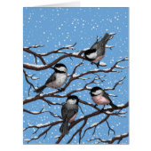 Chickadees in winter (Front)