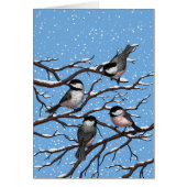 Chickadees in winter (Front)