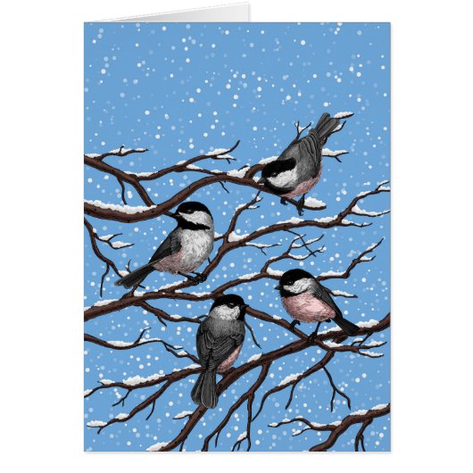 Chickadees in winter cards (Front)