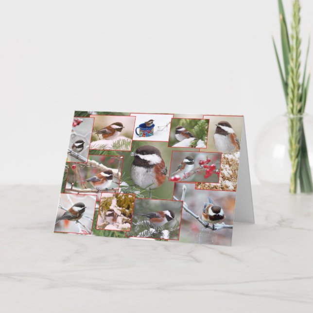 Chickadees in Winter Collage Holiday Card (Front)