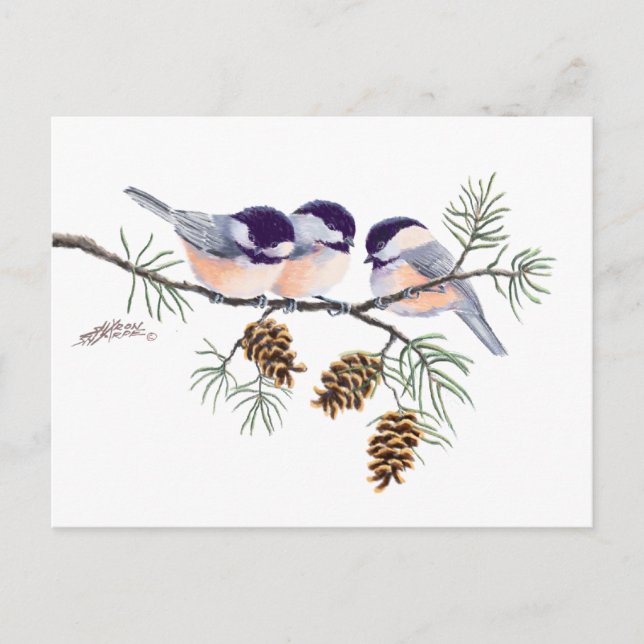 CHICKADEES & PINECONES by SHARON SHARPE Postcard (Front)