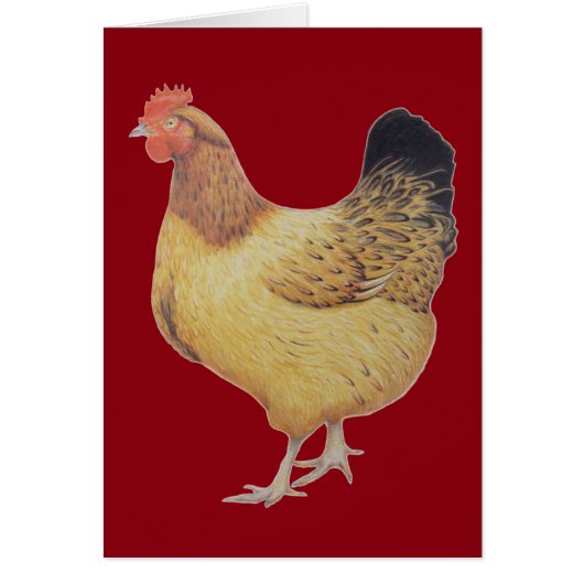 Chicken 2012 cards (Front)