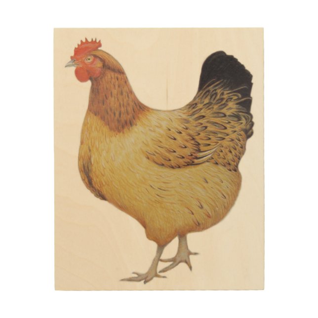 Chicken 2012 wood wall art (Front)