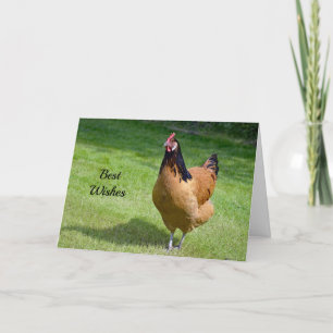 Chicken 3 Congratulations Wedding Card