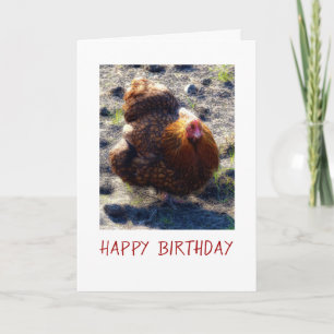Chicken Birthday card