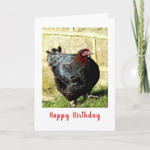 Chicken Birthday card