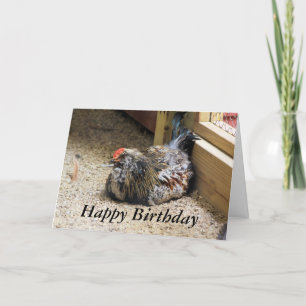 Chicken Birthday Card