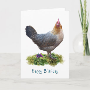Chicken Birthday Card
