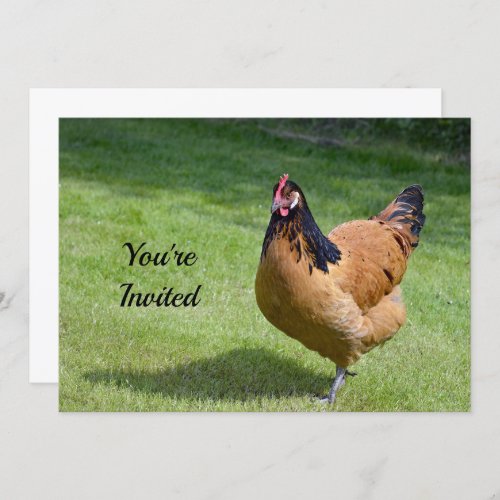 Chicken Black and Gold Vorwerk Photo Birthday Invitation