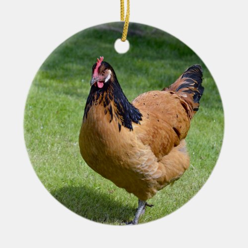 Chicken Black and Gold Vorwerk Photo Ceramic Ornament