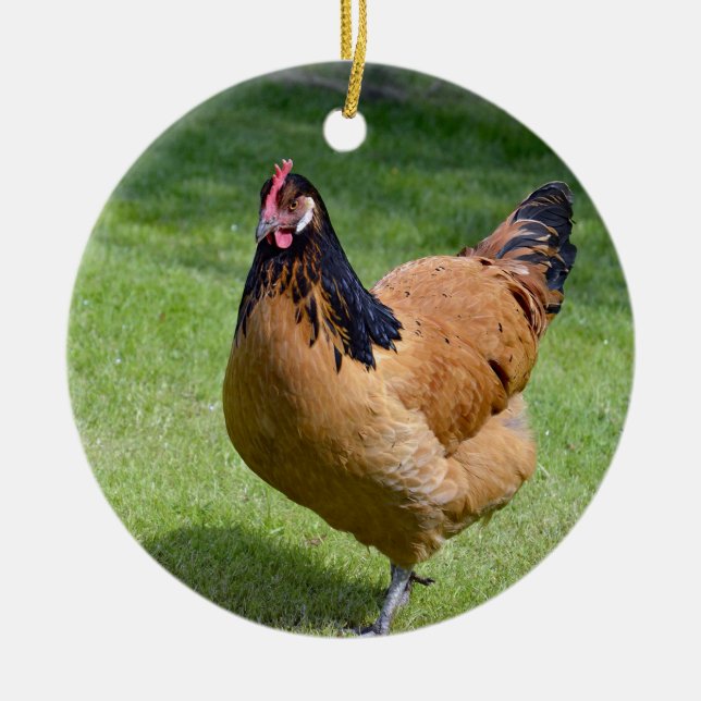 Chicken Black and Gold Vorwerk Photo Ceramic Ornament (Front)
