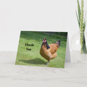 Chicken Black and Gold Vorwerk Photo Letterpress Thank You Card