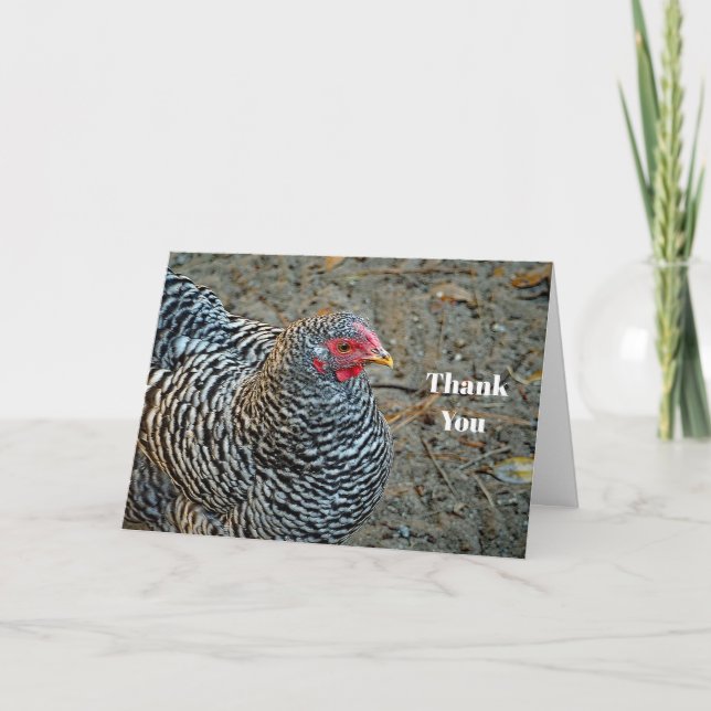 Chicken Black and White Hen Photo Thank You Card (Front)
