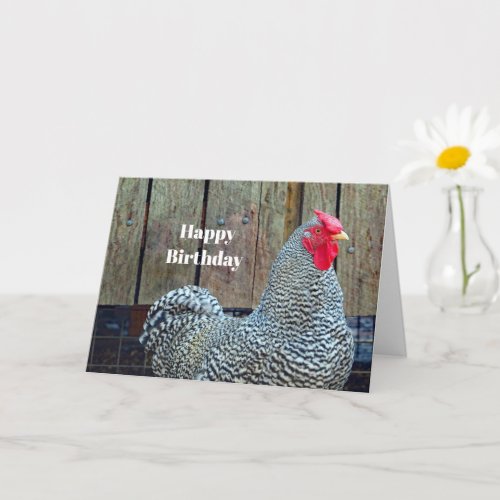 Chicken Black and White Rooster Photo Birthday Card