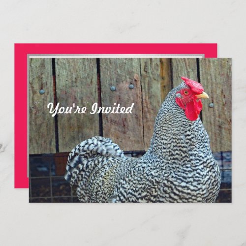 Chicken Black and White Rooster Photo Birthday Invitation