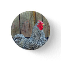 Chicken Black and White Rooster Photo Button