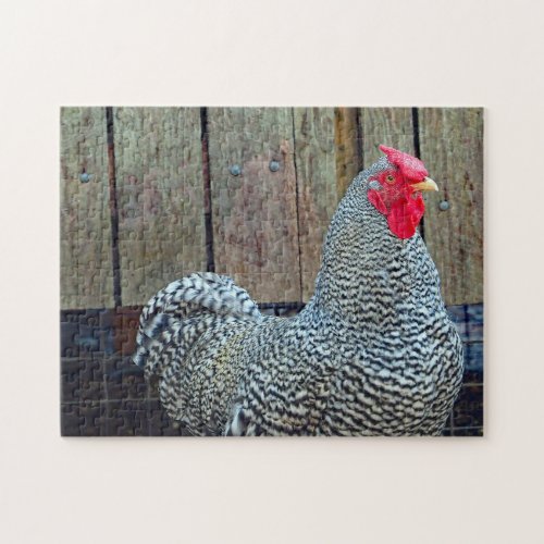 Chicken Black and White Rooster Photo Jigsaw Puzzle