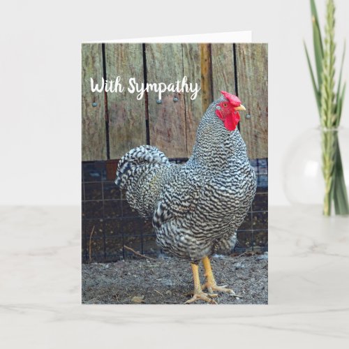 Chicken Black and White Rooster Photo Sympathy Card