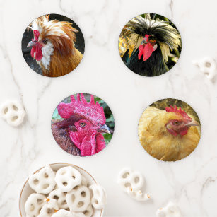 Chicken Breeds and Colors Photos Coaster Set