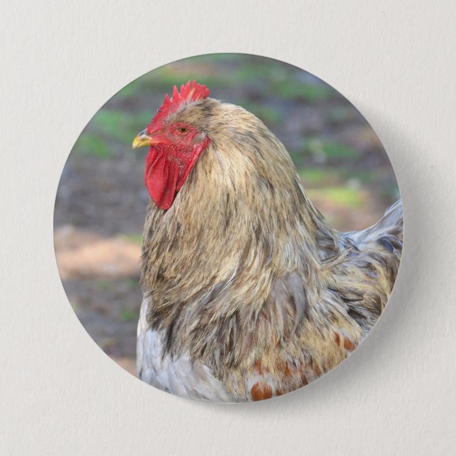 Chicken Button (Front)
