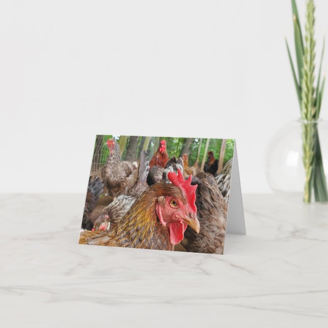 Chicken Card (Front)