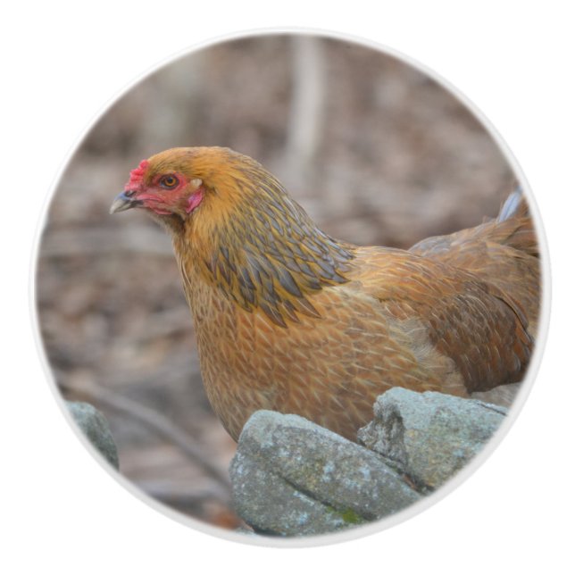 Chicken Ceramic Knob (Front)