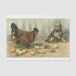 Chicken Chick Dog Illustration Tissue Paper
