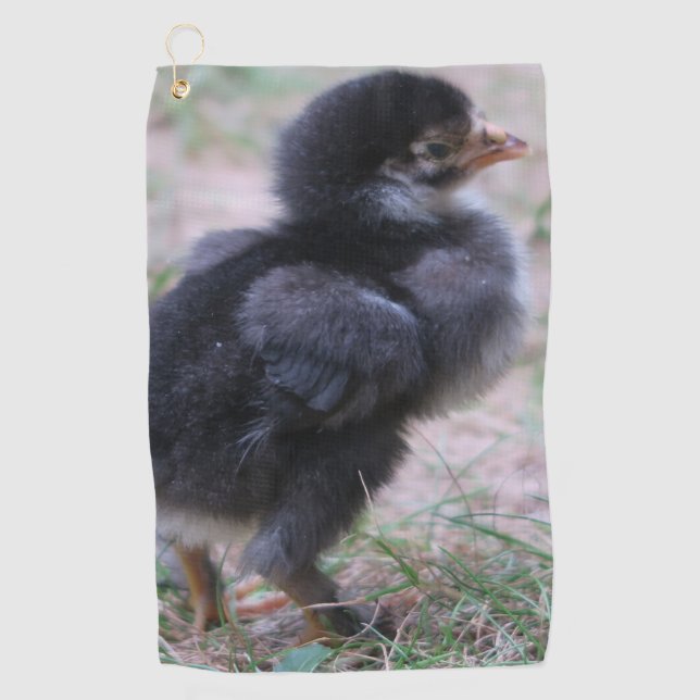 chicken, chicks, chickens, chick, animal, bird, golf towel (Front)