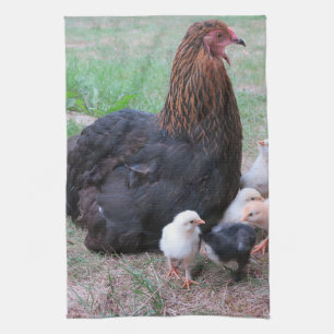 chicken, chicks, chickens, chick, animal, bird, kitchen towel