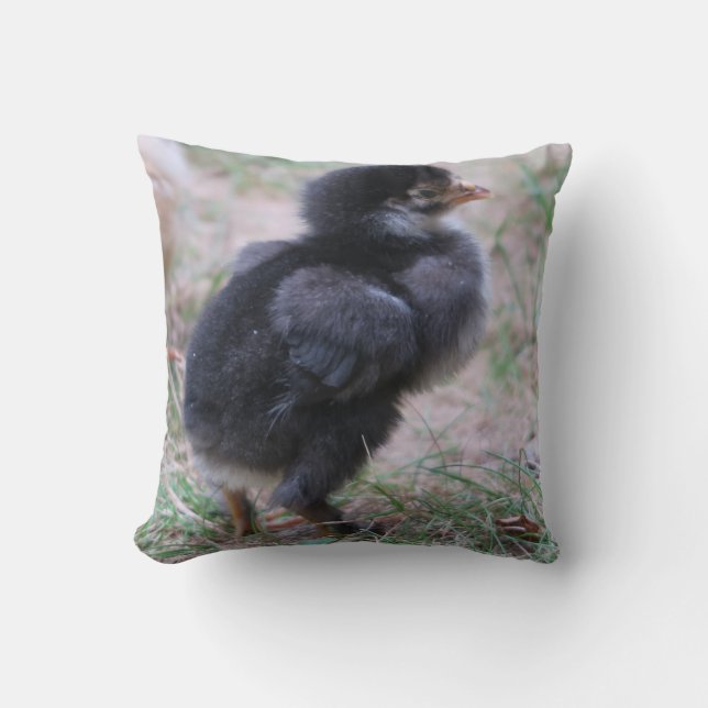 chicken, chicks, chickens, chick, animal, bird, throw pillow (Front)