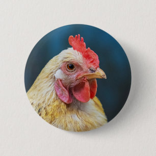 Chicken Close-Up Button