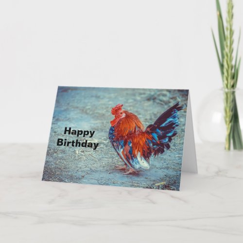 Chicken Colorful Rooster Photo Birthday Card