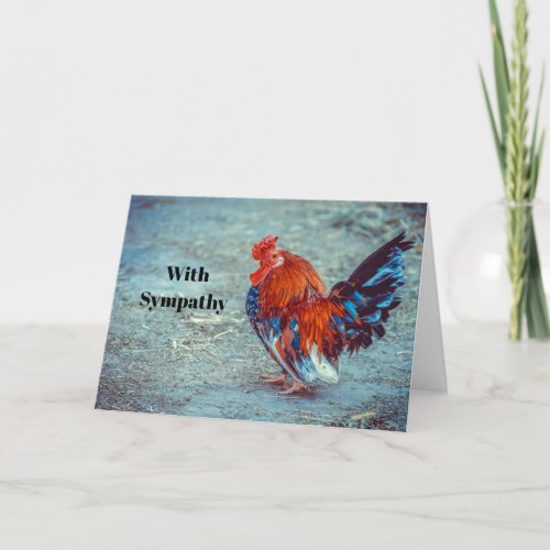 Chicken Colorful Rooster Photo Sympathy Card