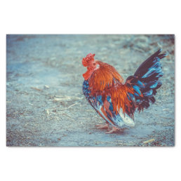 Chicken Colorful Rooster Photo Tissue Paper