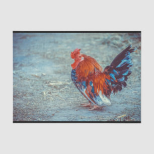 Chicken Colorful Rooster Photo Tissue Paper