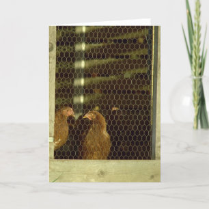 Chicken Coop Card