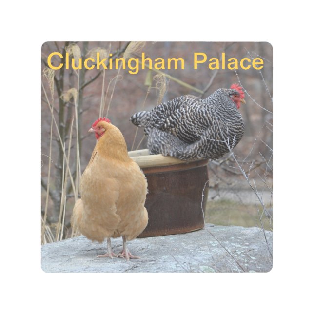 Chicken Coop Metal Wall Art (Front)