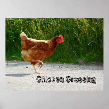 Chicken Crossing The Road Print by CountryCorner at Zazzle