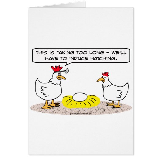 chicken doctor induce hatching egg cards (Front)