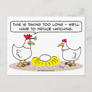 chicken doctor induce hatching egg postcard