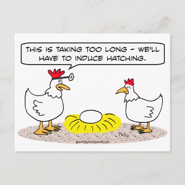 chicken doctor induce hatching egg postcard (Front)