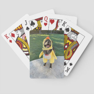chicken dog poker cards