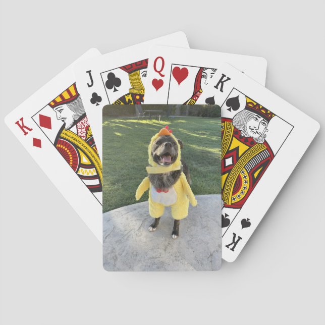 chicken dog poker cards (Back)