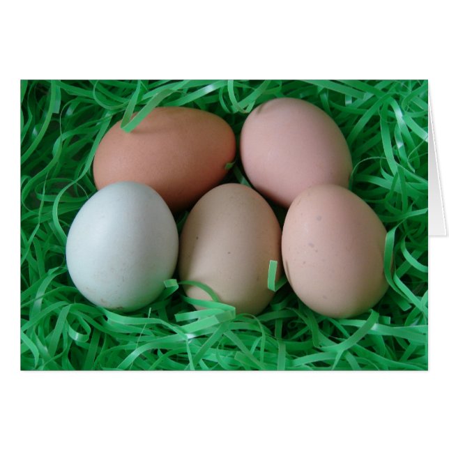 Chicken Eggs Cards (Front Horizontal)