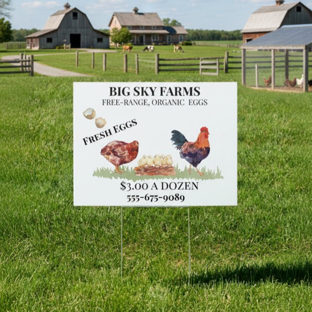 Chicken Eggs Farm Watercolor  For Sale  Sign (Creator Uploaded)