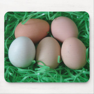 Chicken Eggs Mouse Pad