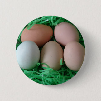 Chicken Eggs Pinback Button