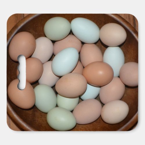 Chicken Eggs Seat Cushion