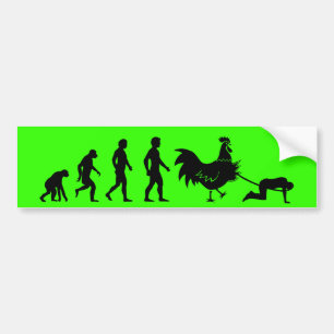 Chicken evolution bumper sticker