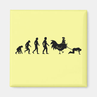 Chicken evolution magnet